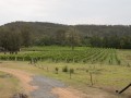 0102-1443 Wollombi winery (1060873)